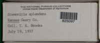 Image Associated With the Occurence